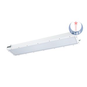 Đèn trần chống cháy nổ HRY51-G/P