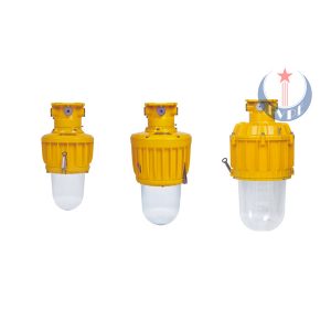 Đèn HID phòng nổ HRD82